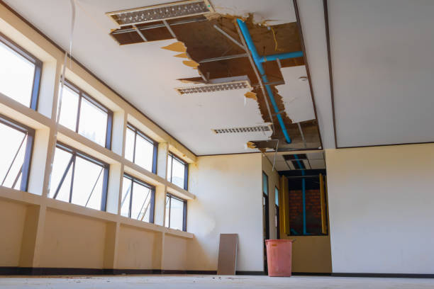 Best 24-hour water damage restoration  in Savoy, IL