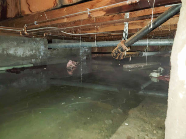 Best Commercial water damage restoration  in Savoy, IL