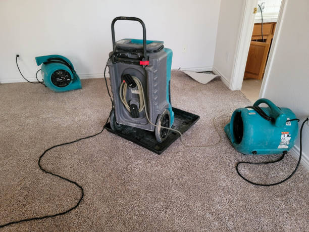 Best Water damage restoration specialists  in Savoy, IL