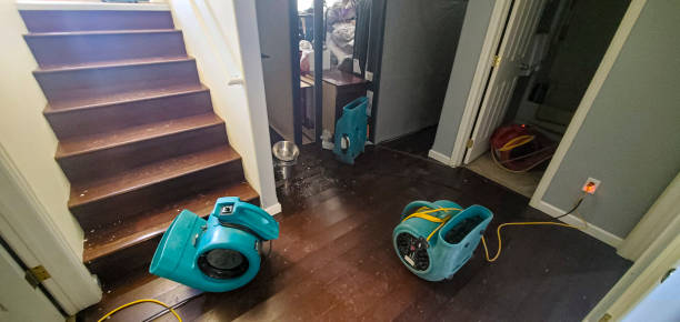 Savoy, IL Water damage restoration Company