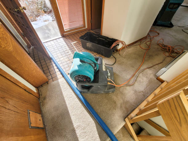 Best Carpet water damage restoration  in Savoy, IL