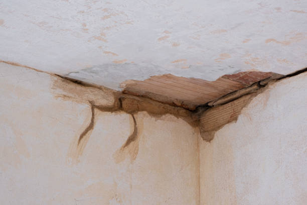 Best Emergency water damage restoration  in Savoy, IL
