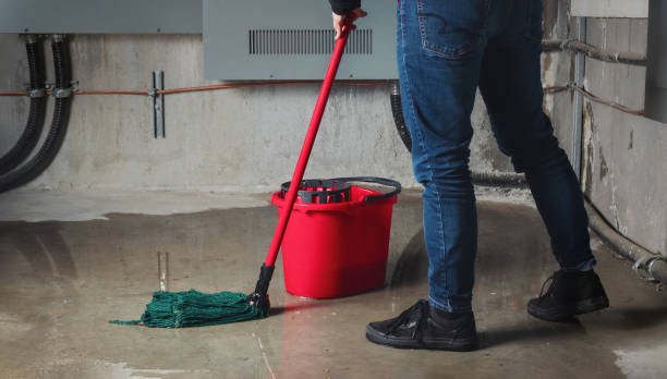 Best Basement water damage restoration  in Savoy, IL