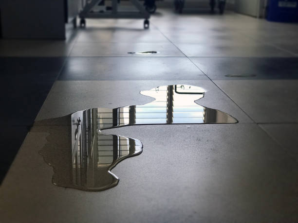 Best Local water damage restoration  in Savoy, IL