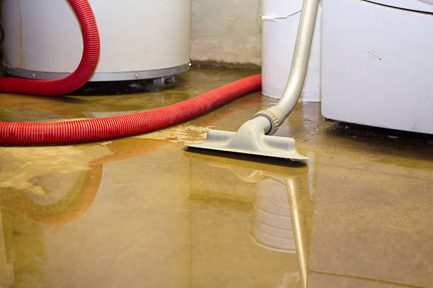 Best Water damage contractors near me  in Savoy, IL