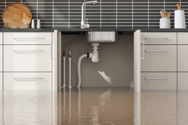 Best 24/7 water damage repair  in Savoy, IL