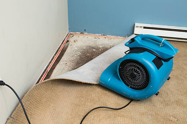 Best Flooded house restoration  in Savoy, IL