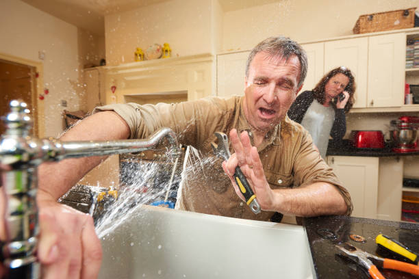 Best Local water damage restoration  in Savoy, IL